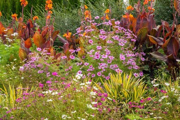 Cosmos (Cosmos bipinnatus Cav) and other flowers blooming at the Oregon Garden in Silverton, Oregon