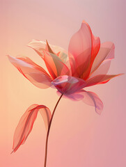 Obraz premium flower