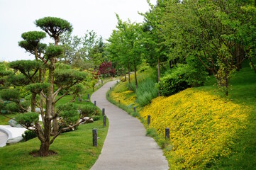 Japanese garden in the park. The culture of Japan.