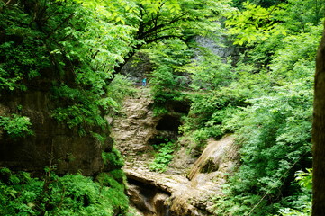 Mountain view in the gorge. The natural landscape.