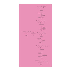 Diagram showing biosynthesis of Melatonin from Tryptophan via enzymatic reactions - schematic molecular strcuture chemical illustration.