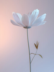 Naklejka premium flower