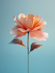 Obraz premium flower