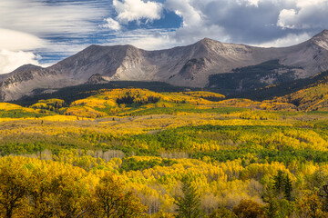 Obraz premium Colorado Autumn Aspens