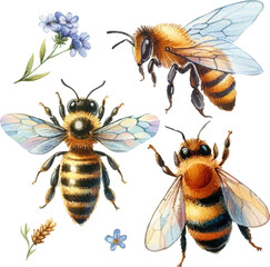 set with three bees and flowers.