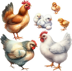 set with hens, roosters, chicks and eggs in watercolor style in vector