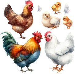 set with hens, roosters, chicks and eggs in watercolor style in vector
