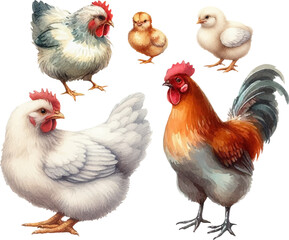 set with hens, roosters, chicks and eggs in watercolor style in vector