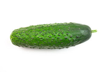 Natural cucumber on white background. Fresh green isolated cucumber.