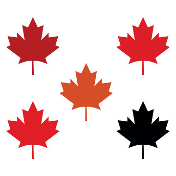  Maple leaf logo. National symbol of Canada. Maple leaf logo set. Canada leaf .Five colorful maple leaves in varying shades of red. orange and black arranged symmetrically on a white background .