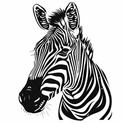 A black and white drawing of a zebra 's head