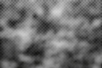 Fog or smoke isolated on transparent background. Vector smog or mist background.