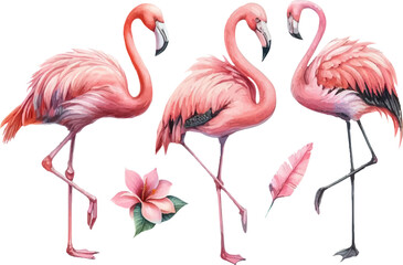 set with pink flamingos in watercolor style