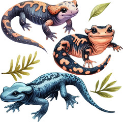 set with salamanders in watercolor style