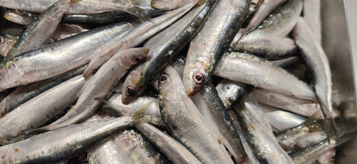 Obraz premium raw fresh coast fish ready to cook