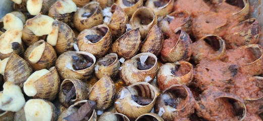 cooked sanails as spanish typical food