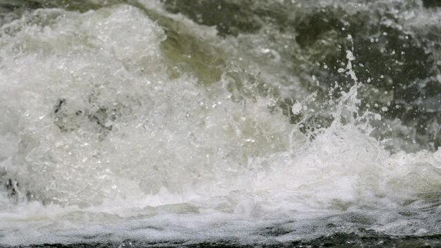 Close up on fish jumping through rapid - super slow motion