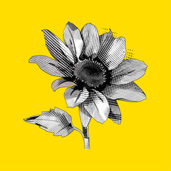 Vector sunflower with dots texture, vintage photocopy effect y2k retro sunflower. vintage stipple effect sunflower, isolated background