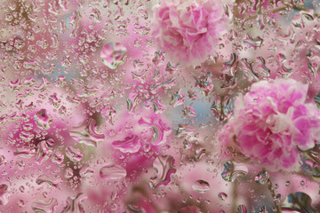 Soft focus pink flower bouquet through glass with water drops. Abstract Nature blur pink background.