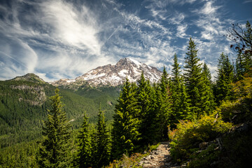 Ramparts Trail Looking Back At Mount Rainier On Summer Day