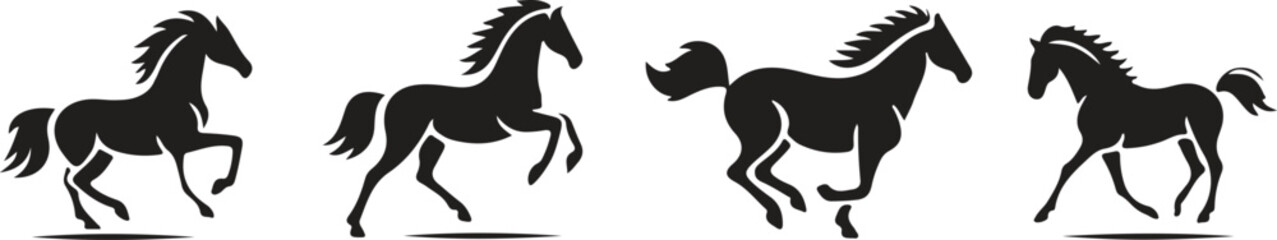 black and white horse