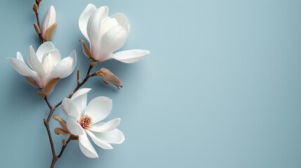 Solid Simplicity  A smooth, matte-finish background, enhancing visual clarity and readability, providing a perfect canvas for your content