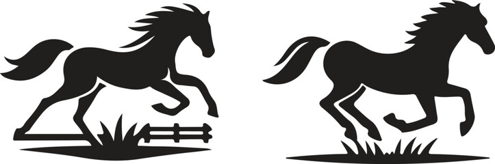 two horses on the white background