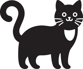 black and white cat