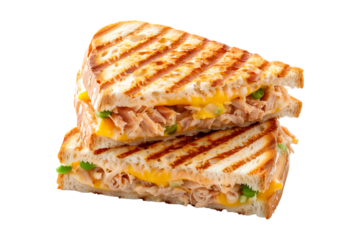 Grilled Tuna Melt panini sandwich on crusty bread isolated on white background