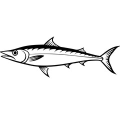 fish illustration