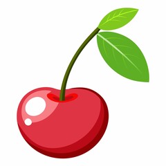 cherry fruit illustration