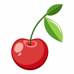 cherry fruit illustration