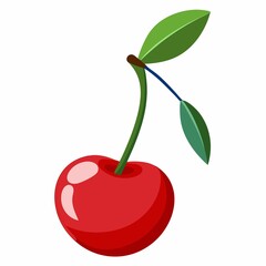 cherry fruit illustration