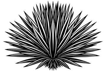 black yucca rostrata vector illustration