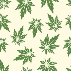 Vector Seamless Pattern with Flat Cannabis Leaves. Hemp, Cannabis Green Leaf on White Background. Seamless Print with Medical Marijuana. Vector Illustration