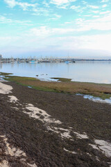 coastal landscape with shore and distant marina