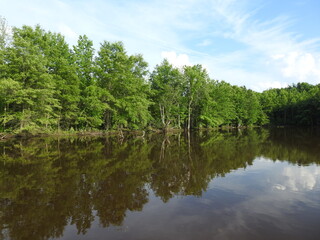 The beautiful summer scenery of the wetlands within the Bombay Hook National Wildlife Refuge, Kent County, Delaware.