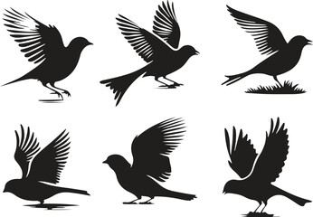 Obraz premium set of silhouettes of birds