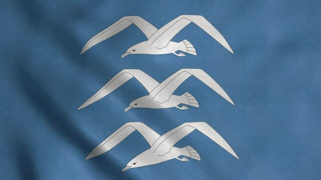 Flag of Haugesund kommune, Norway. sign
