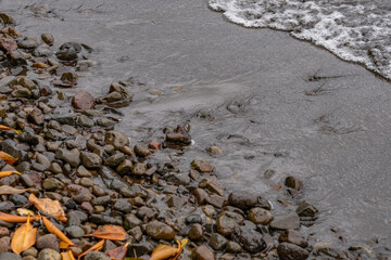 Waiāhole Beach Park，Leeward Coast of Oahu, Honolulu, Hawaii. Waiāhole Stream. Kāneʻohe Bay, is the largest sheltered body of water in the main Hawaiian Islands. Alluvium / Sand and gravel

