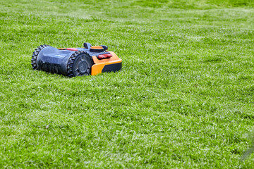 Automatic orange robotic lawn mower on sunny green lawn of park