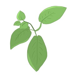 Sprout with large and small leaves, flat style illustration