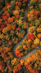 Autumn Drive: Car on Winding Road Through Vibrant Fall Foliage in Aerial View