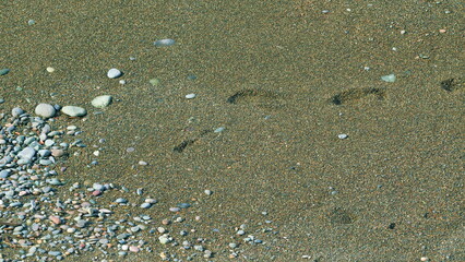 Sandy And Pebble Beach Beach Texture Details With Foot Prints. Tilt up.