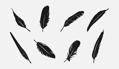 Set silhouette of feathers. Isolated on white background. Vector illustration.
