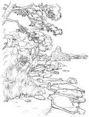 漫画風ペン画イラスト　和風_庭園