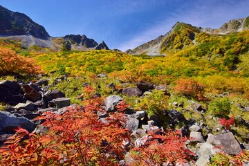 紅葉の北アルプス涸沢カール