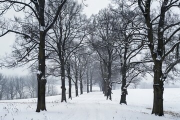 Fototapeta premium Winter landscape featuring a snow-covered park with bare trees, offering a tranquil and serene white winter scene.