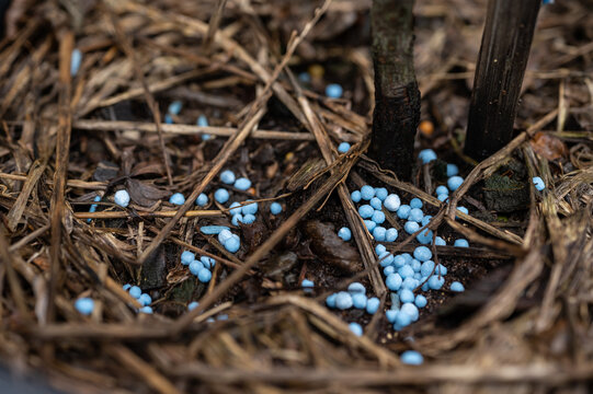 An organic fertilizer after applying on grounds. The primary nutrients (macronutrients) that all plants need are nitrogen (N), phosphorus (P) and potassium (K).