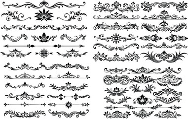 border frame floral decoration design illustration vector divider flourish ornament ornate vintage flower element swirl text wedding decorative doodle invitation